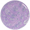 Rollin With My Homies 11ml - ORLY - lak na nehty